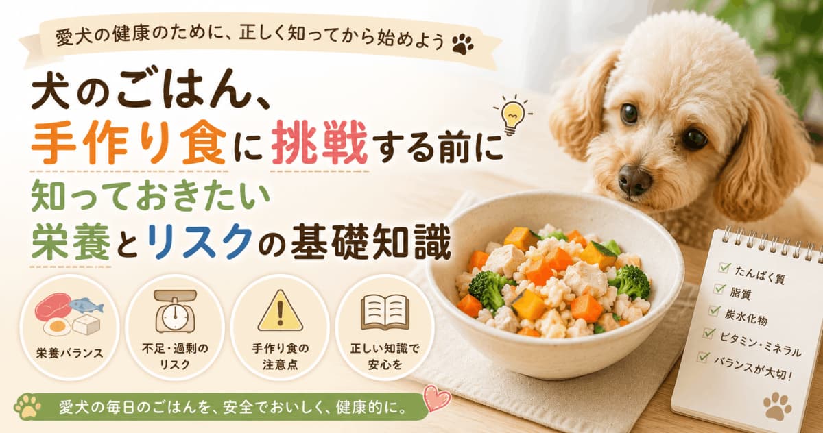 犬のごはん、手作り食に挑戦する前に知っておきたい栄養とリスクの基礎知識