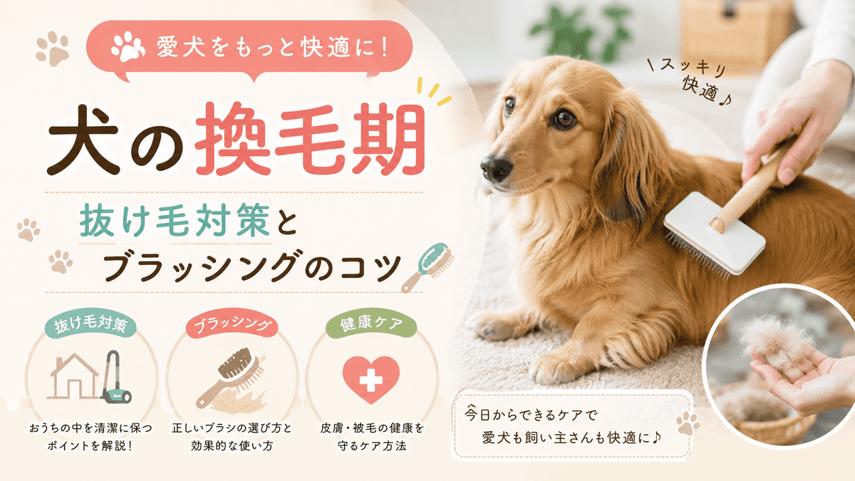 犬の換毛期 | 抜け毛対策とブラッシングのコツ