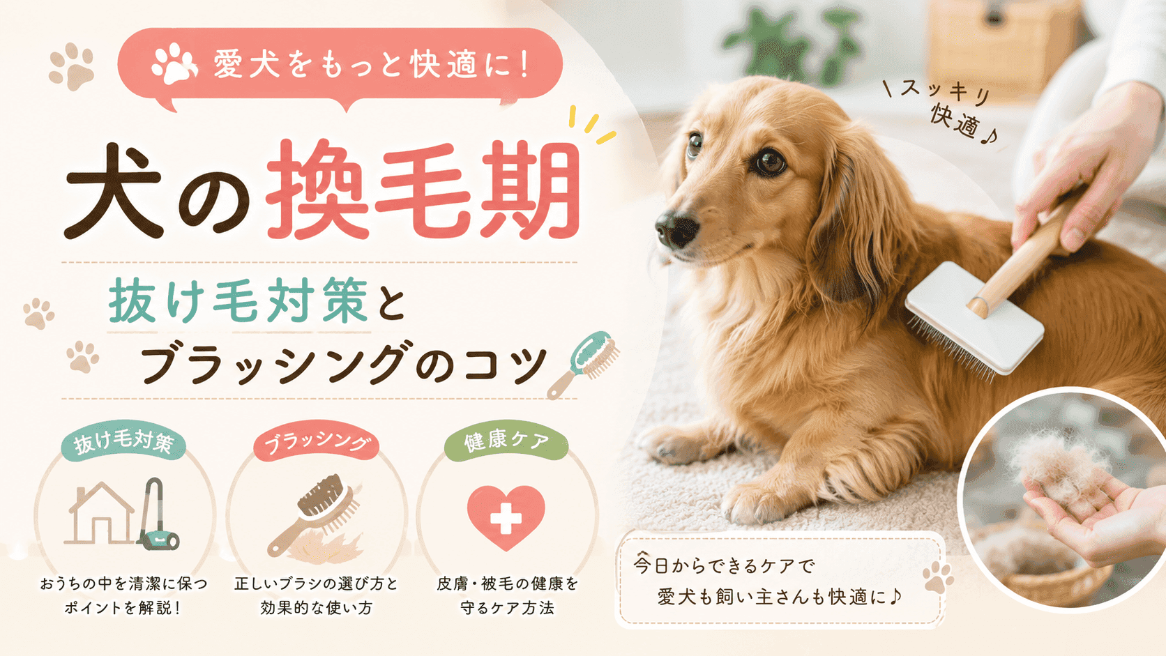 犬の換毛期 | 抜け毛対策とブラッシングのコツ