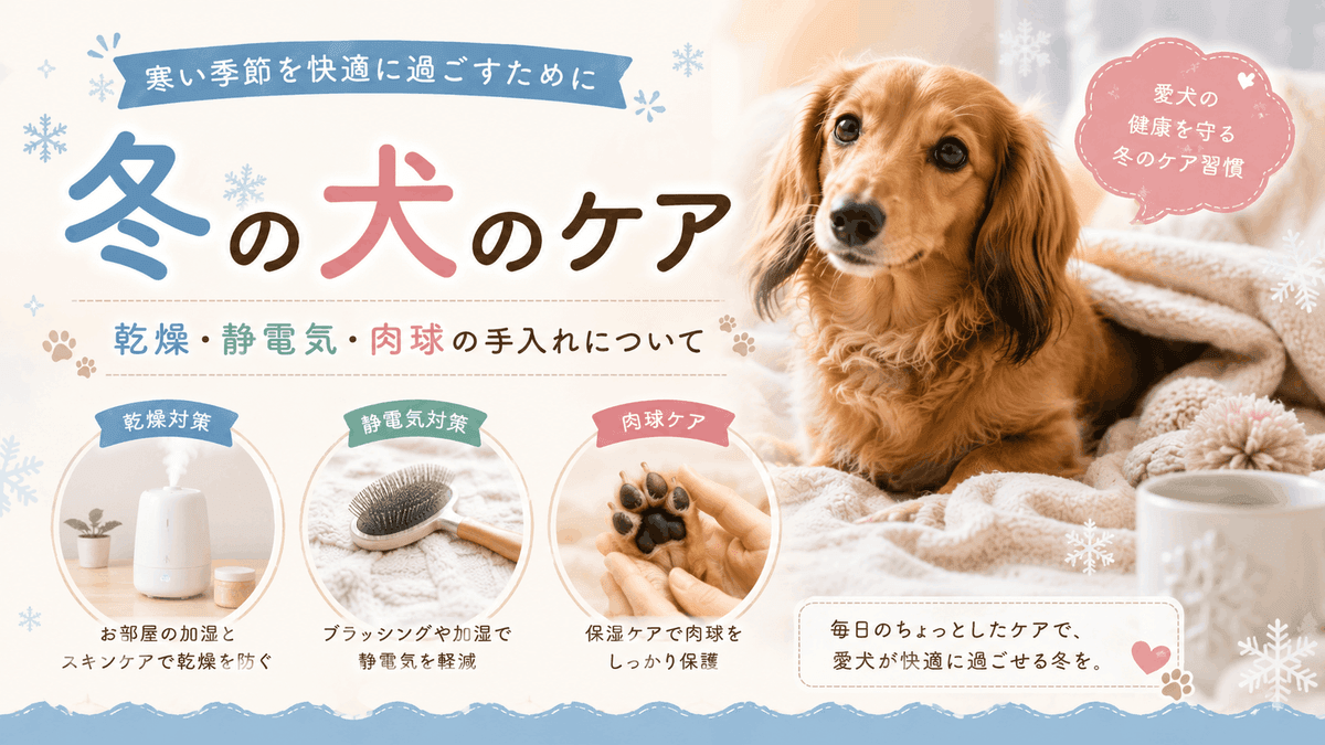 冬の犬のケア | 乾燥・静電気・肉球の手入れについて