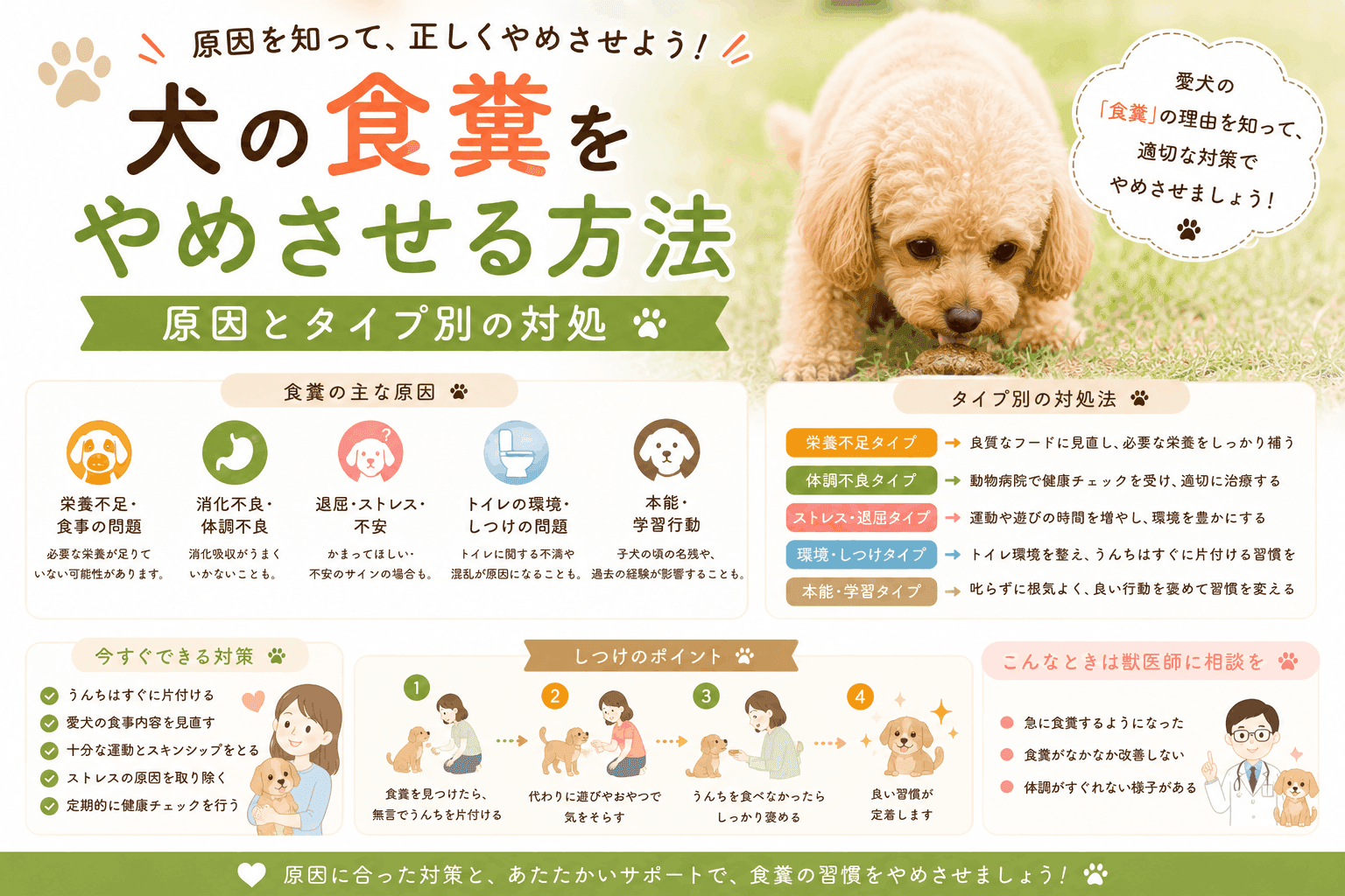 犬の食糞をやめさせる方法|原因とタイプ別の対処