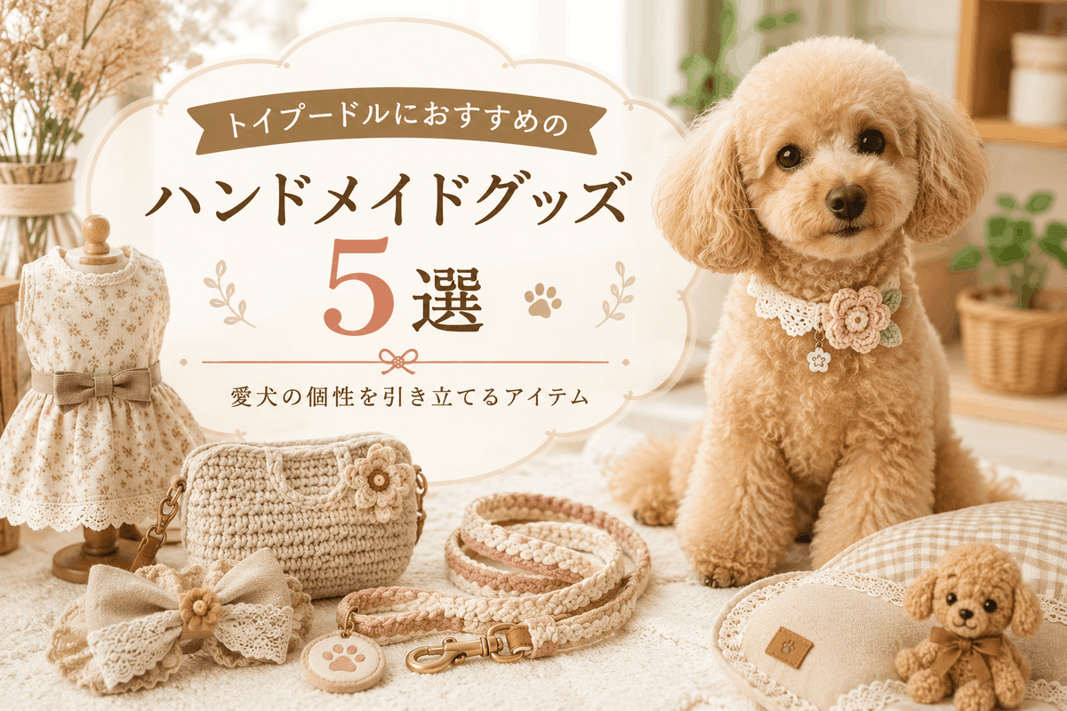 トイプードルにおすすめのハンドメイドグッズ5選|愛犬の個性を引き立てるアイテム