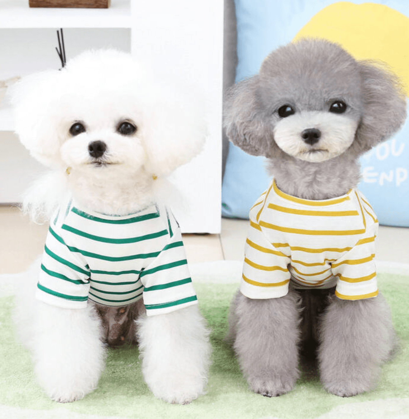 【1000円ポッキリ】春 犬 服 ペット服 ドッグウェア お散歩 抜け毛防止 ペットウェア 超可愛い! 袖あり 半袖 T 1