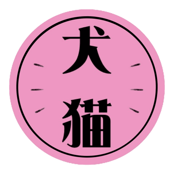 藤井 智子
