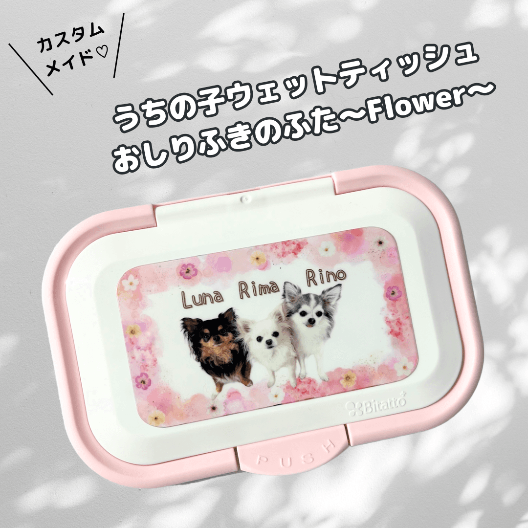 うちの子ウェットティッシュのふた